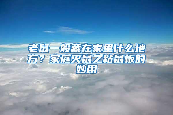 老鼠一般藏在家里什么地方？家庭滅鼠之粘鼠板的妙用