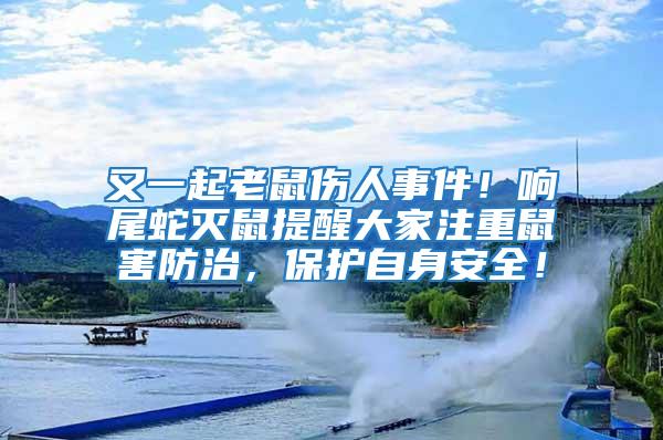 又一起老鼠傷人事件！響尾蛇滅鼠提醒大家注重鼠害防治，保護自身安全！