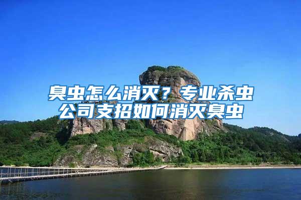 臭蟲怎么消滅？專業殺蟲公司支招如何消滅臭蟲
