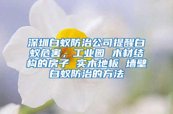 深圳白蟻防治公司提醒白蟻危害，工業(yè)園 木材結(jié)構(gòu)的房子 實(shí)木地板 墻壁白蟻防治的方法
