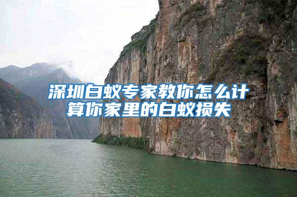 深圳白蟻專家教你怎么計(jì)算你家里的白蟻損失