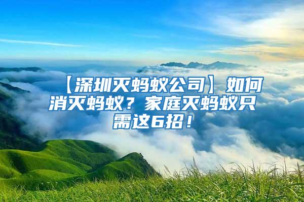 【深圳滅螞蟻公司】如何消滅螞蟻？家庭滅螞蟻只需這6招！