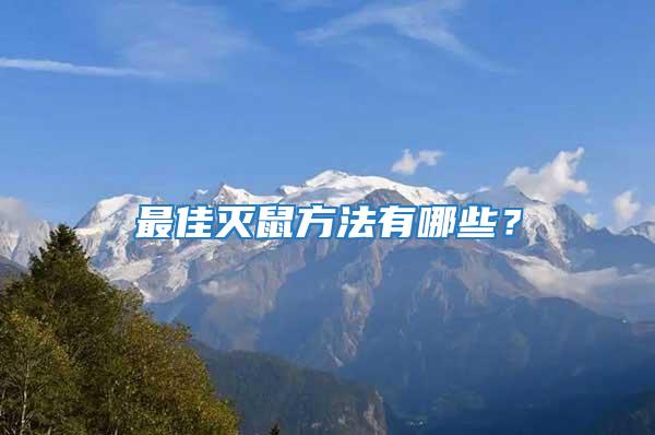 最佳滅鼠方法有哪些？