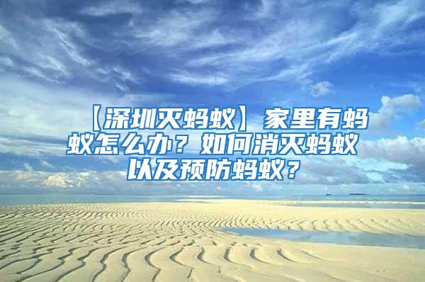 【深圳滅螞蟻】家里有螞蟻怎么辦？如何消滅螞蟻以及預防螞蟻？