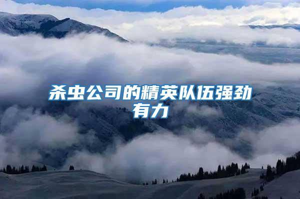 殺蟲公司的精英隊伍強勁有力