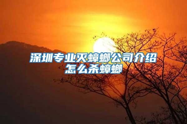深圳專業滅蟑螂公司介紹怎么殺蟑螂