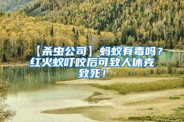 【殺蟲(chóng)公司】螞蟻有毒嗎？紅火蟻叮咬后可致人休克致死！