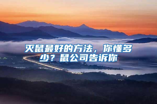 滅鼠最好的方法，你懂多少？鼠公司告訴你