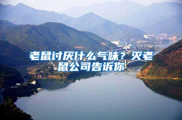 老鼠討厭什么氣味？滅老鼠公司告訴你
