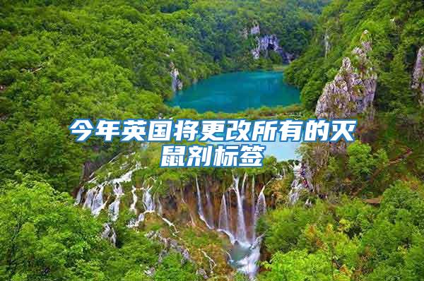 今年英國(guó)將更改所有的滅鼠劑標(biāo)簽