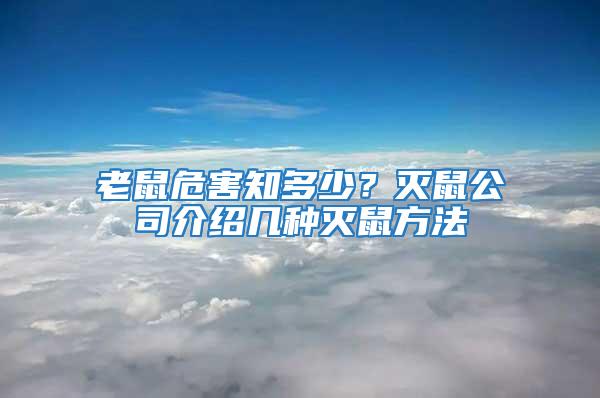 老鼠危害知多少？滅鼠公司介紹幾種滅鼠方法