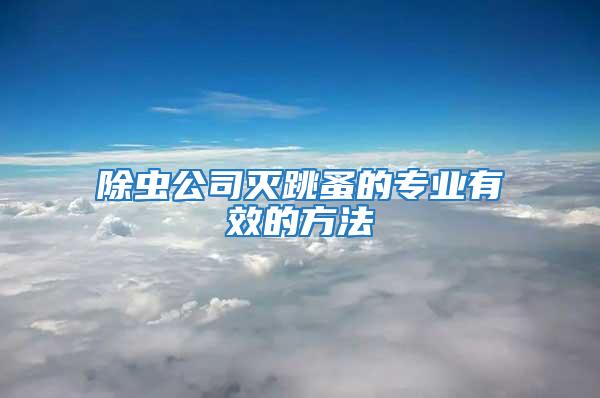 除蟲公司滅跳蚤的專業有效的方法