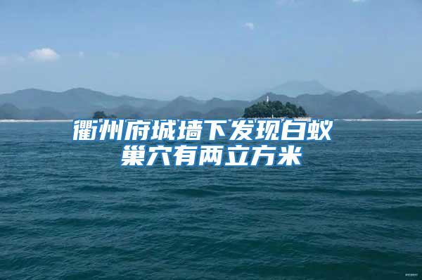 衢州府城墻下發現白蟻 巢穴有兩立方米