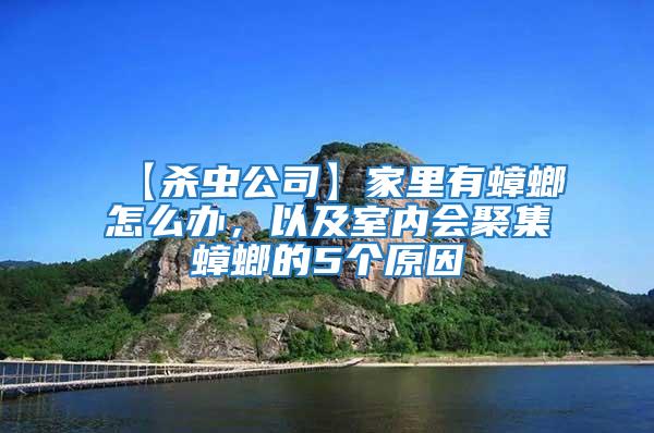 【殺蟲公司】家里有蟑螂怎么辦，以及室內會聚集蟑螂的5個原因