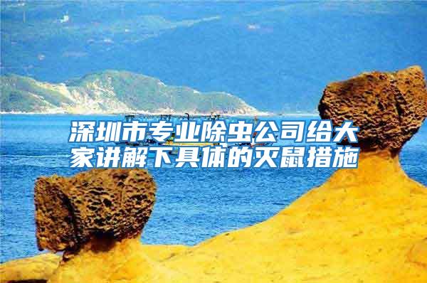深圳市專業除蟲公司給大家講解下具體的滅鼠措施