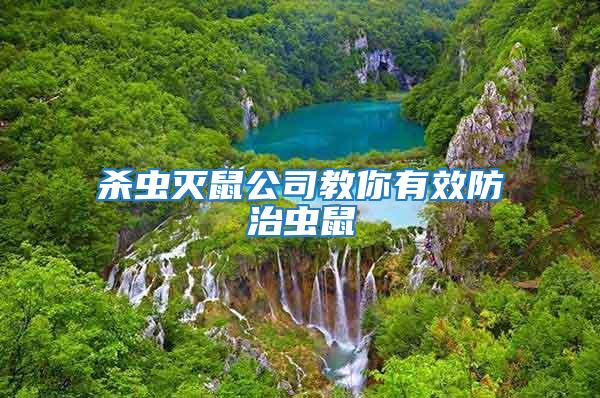 殺蟲(chóng)滅鼠公司教你有效防治蟲(chóng)鼠