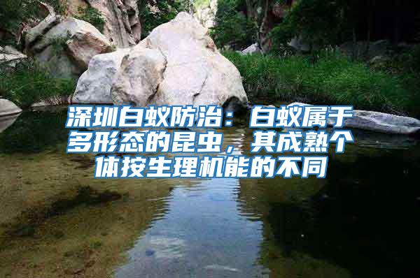 深圳白蟻防治：白蟻屬于多形態的昆蟲，其成熟個體按生理機能的不同
