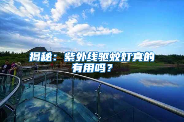 揭秘：紫外線驅蚊燈真的有用嗎？