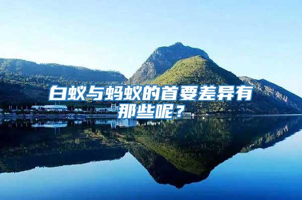 白蟻與螞蟻的首要差異有那些呢？