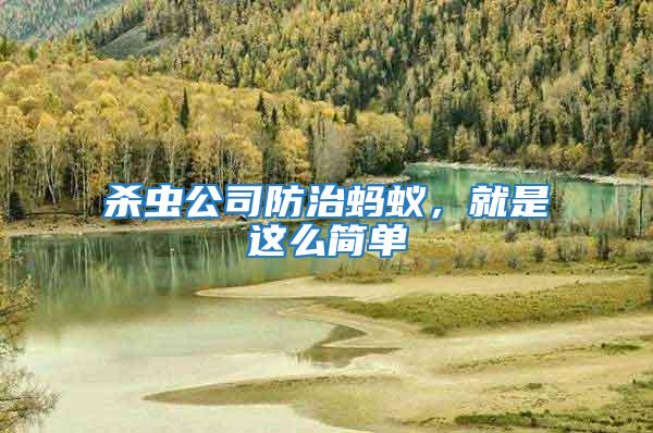 殺蟲公司防治螞蟻，就是這么簡單
