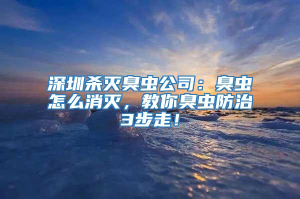 深圳殺滅臭蟲公司：臭蟲怎么消滅，教你臭蟲防治3步走！