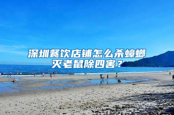深圳餐飲店鋪怎么殺蟑螂滅老鼠除四害？