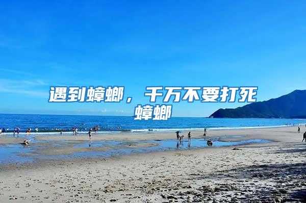 遇到蟑螂，千萬不要打死蟑螂