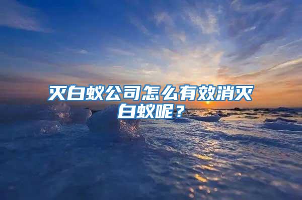 滅白蟻公司怎么有效消滅白蟻呢？