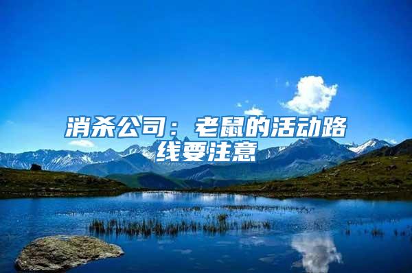 消殺公司：老鼠的活動路線要注意