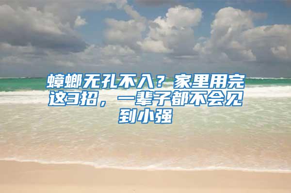 蟑螂無孔不入？家里用完這3招，一輩子都不會見到小強