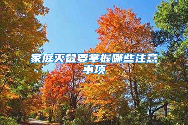 家庭滅鼠要掌握哪些注意事項(xiàng)
