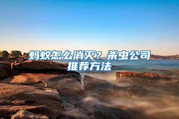 螞蟻怎么消滅？殺蟲公司推薦方法