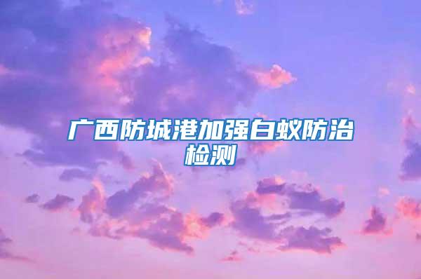 廣西防城港加強白蟻防治檢測