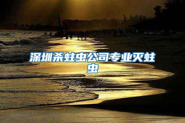 深圳殺蛀蟲公司專業滅蛀蟲