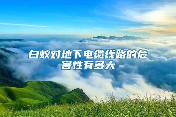 白蟻對地下電纜線路的危害性有多大