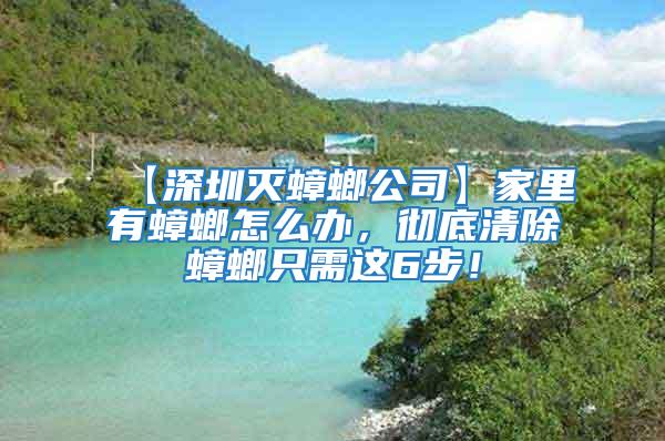 【深圳滅蟑螂公司】家里有蟑螂怎么辦，徹底清除蟑螂只需這6步！