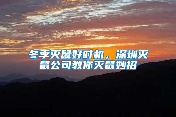 冬季滅鼠好時機，深圳滅鼠公司教你滅鼠妙招