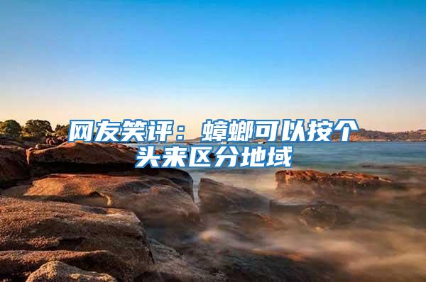 網(wǎng)友笑評(píng)：蟑螂可以按個(gè)頭來區(qū)分地域