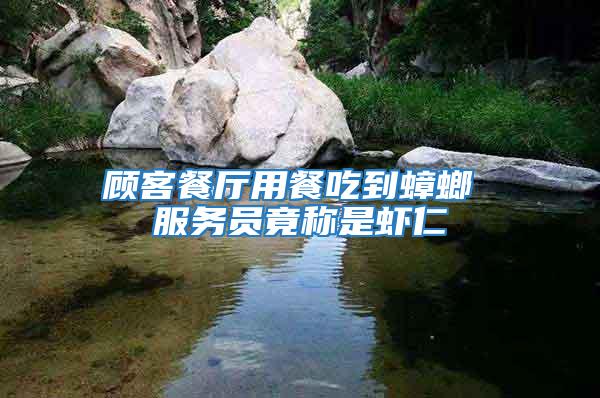 顧客餐廳用餐吃到蟑螂 服務員竟稱是蝦仁