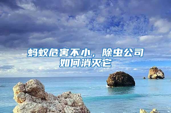 螞蟻危害不小，除蟲公司如何消滅它
