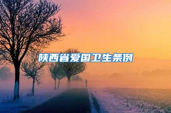 陜西省愛國衛生條例