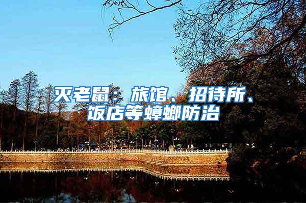 滅老鼠：旅館、招待所、飯店等蟑螂防治