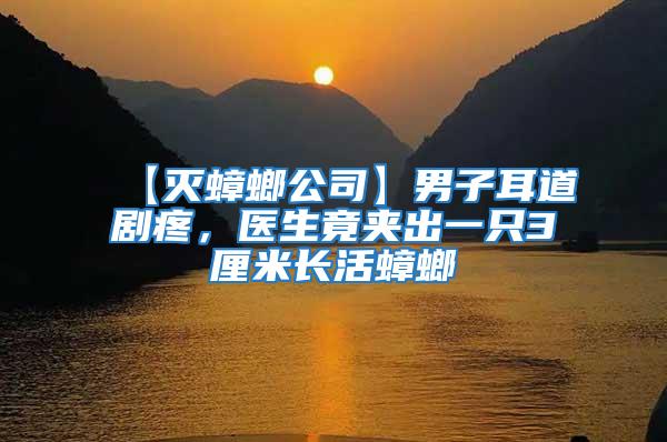 【滅蟑螂公司】男子耳道劇疼，醫生竟夾出一只3厘米長活蟑螂