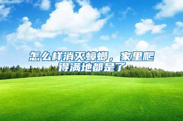 怎么樣消滅蟑螂，家里爬得滿地都是了
