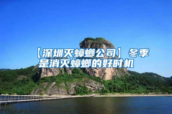 【深圳滅蟑螂公司】冬季是消滅蟑螂的好時機