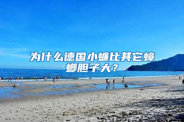 為什么德國小蠊比其它蟑螂膽子大？