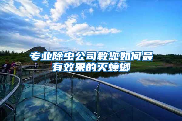 專業(yè)除蟲公司教您如何最有效果的滅蟑螂
