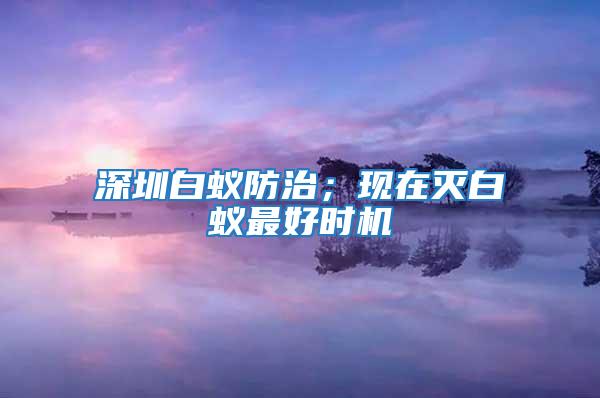 深圳白蟻防治；現(xiàn)在滅白蟻?zhàn)詈脮r(shí)機(jī)