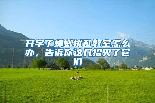 開學了蟑螂擾亂教室怎么辦，告訴你這幾招滅了它們