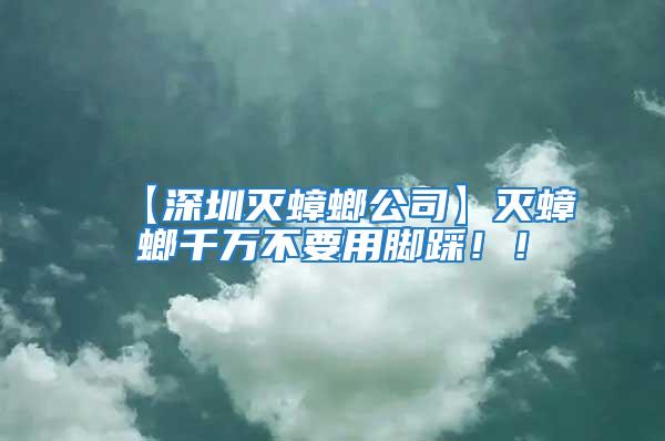 【深圳滅蟑螂公司】滅蟑螂千萬不要用腳踩！！